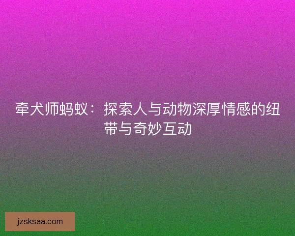 牵犬师蚂蚁：探索人与动物深厚情感的纽带与奇妙互动
